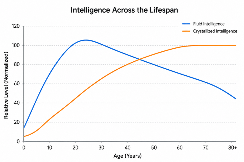 Line graph comparing fluid intelligence declining with age versus crystallized intelligence increasing with age across the human lifespan