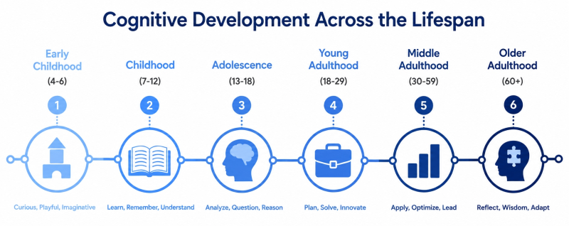 Timeline diagram showing cognitive development across six life stages from early childhood to older adulthood with key traits at each stage